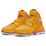 Nike Lebron 19 19