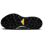 Nike Pegasus Trail 2 Zoom GORE-TEX