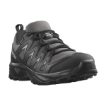 SALOMON X Braze GTX W /