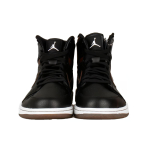 Jordan Air Jordan 1 Retro High Rare