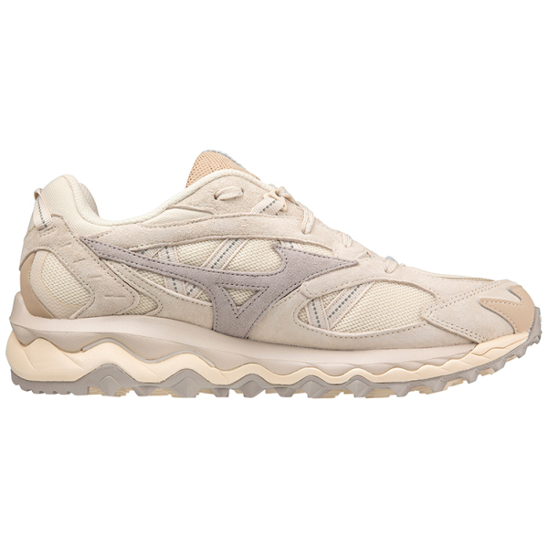 Mizuno Mujin