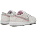 Nike Dunk SB Ishod W Flat Silver