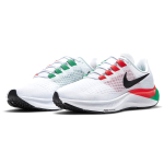 Nike Pegasus 37