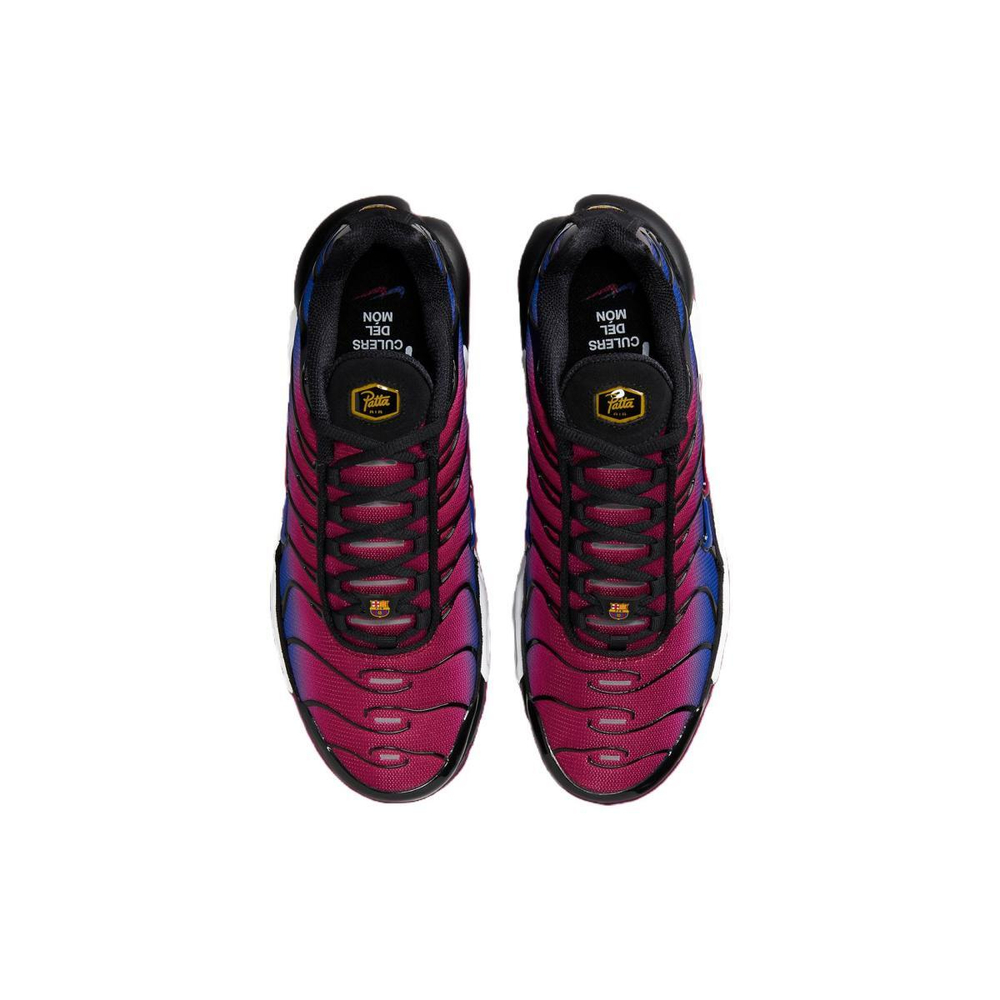 Patta x Nike Air Max Plus