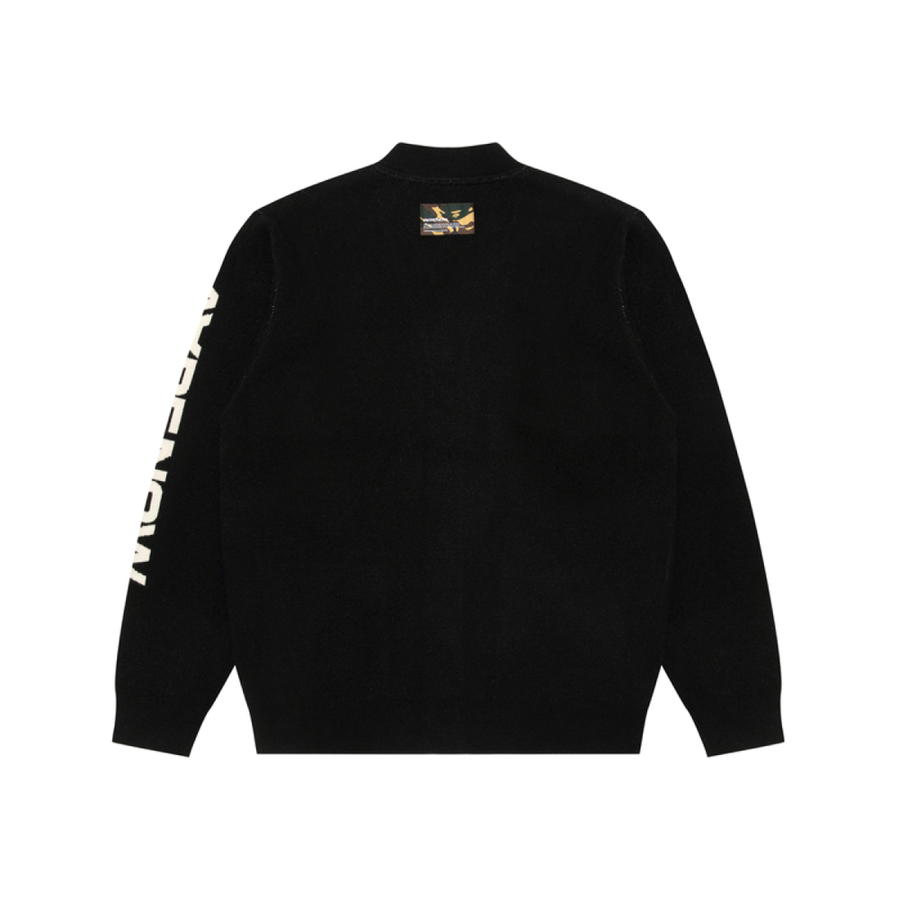 Aape V