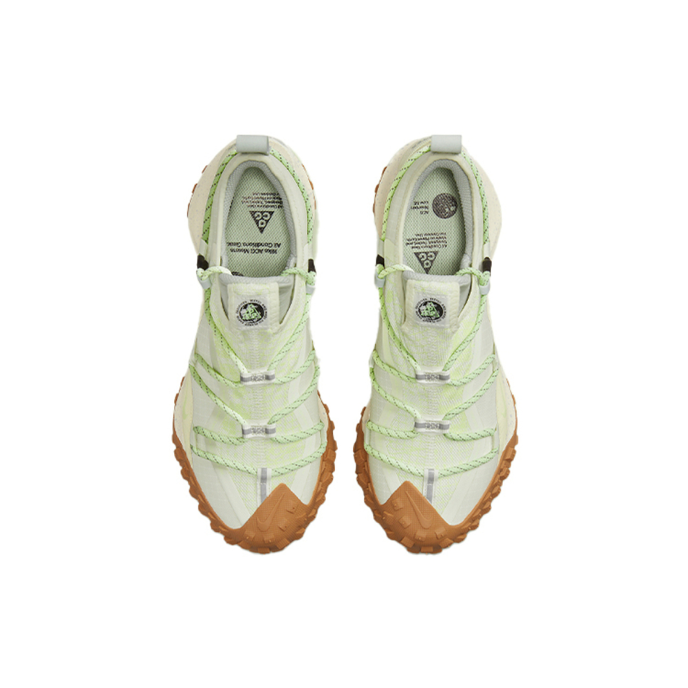 Nike ACG Mountain Fly Low GTX SE