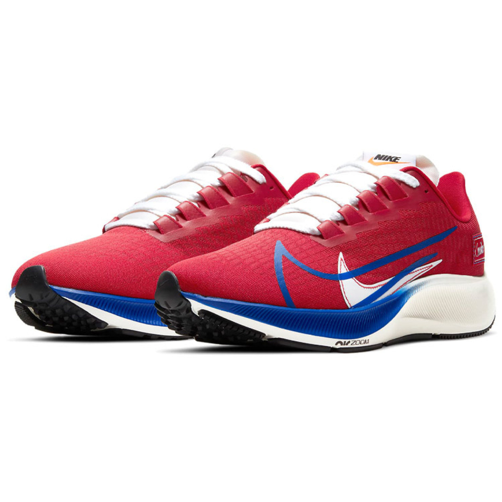 Nike Pegasus 37 Air Zoom/React