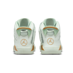 Jordan Air Jordan 6 Retro LTL Flex GC