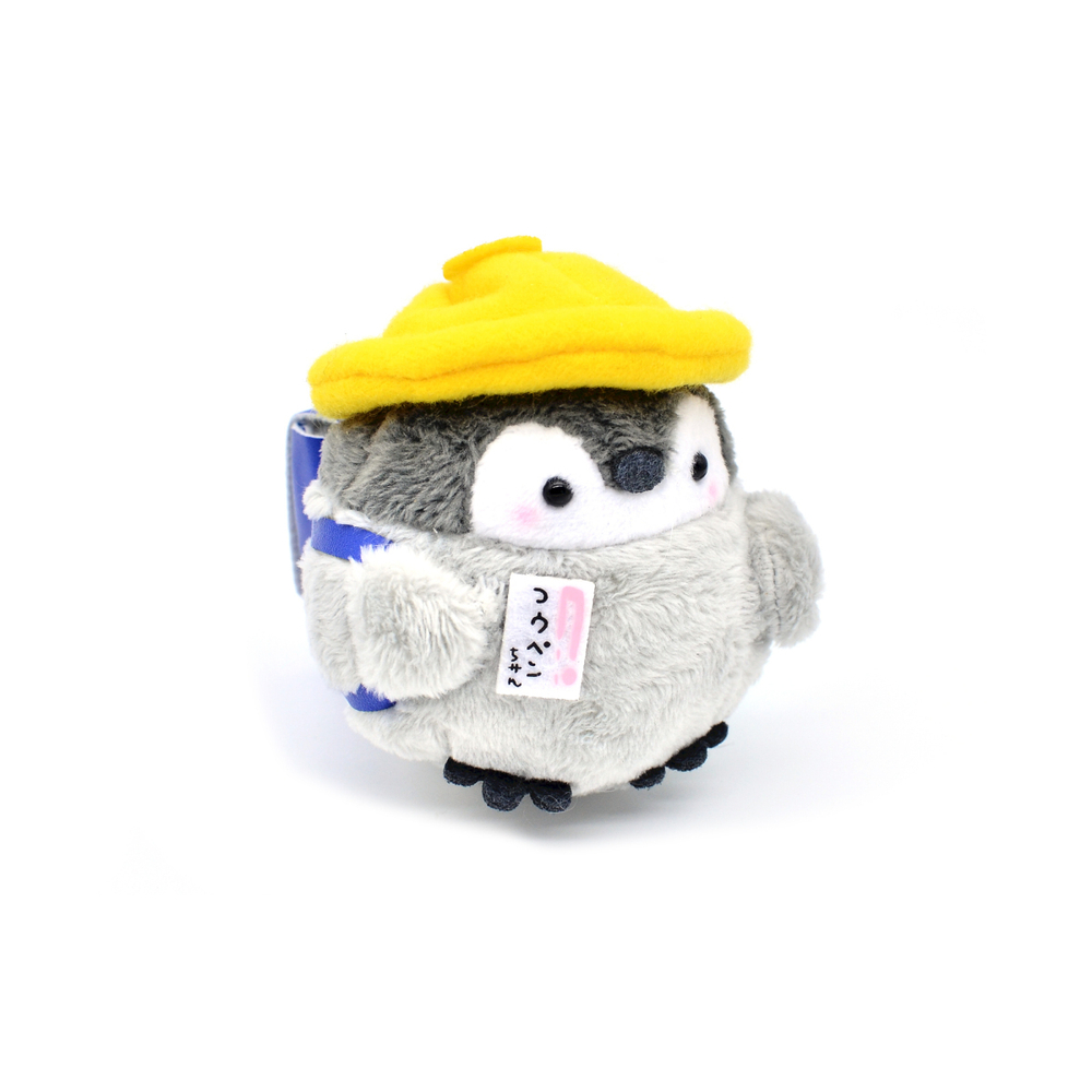 【 】 DAP