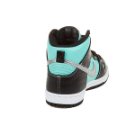 Nike Dunk SB Diamond Supply Co.