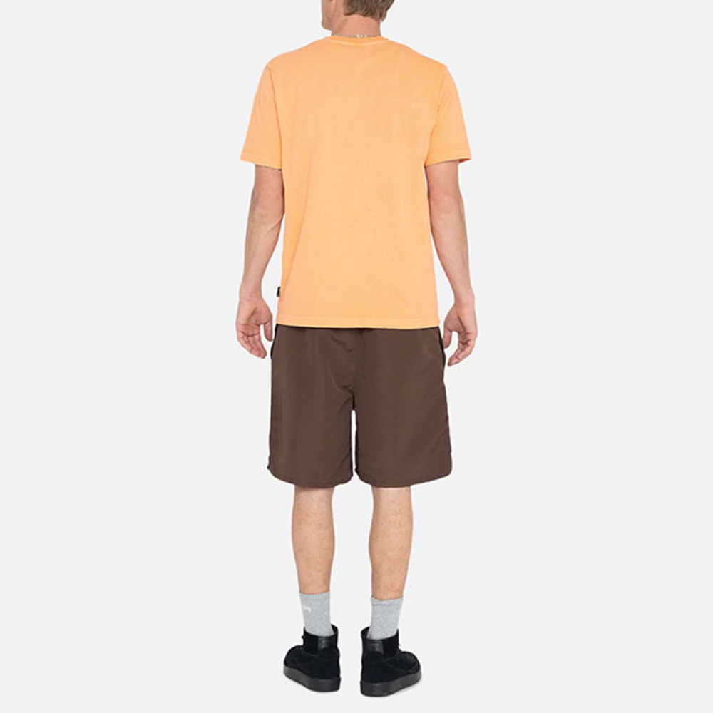 Stussy FW24 WATER SHORT BIG BASIC Logo
