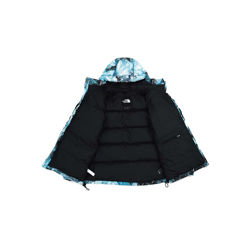 THE NORTH FACE FW22 Logo 550