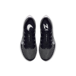 Nike Pegasus turbo 2