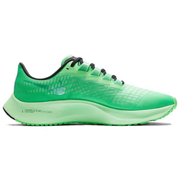 Nike Pegasus 37