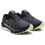 Asics GT-2000 10
