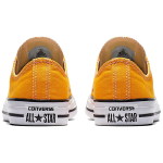 Converse Chuck Taylor All Star Seasonal Color Low Top