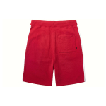 Vans FT Shorts