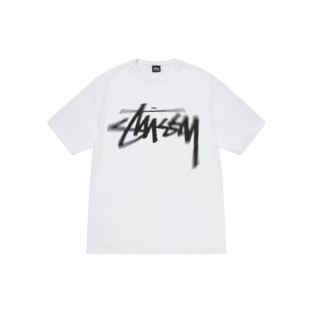 Stussy FW23 DIZZY STOCK TEE T