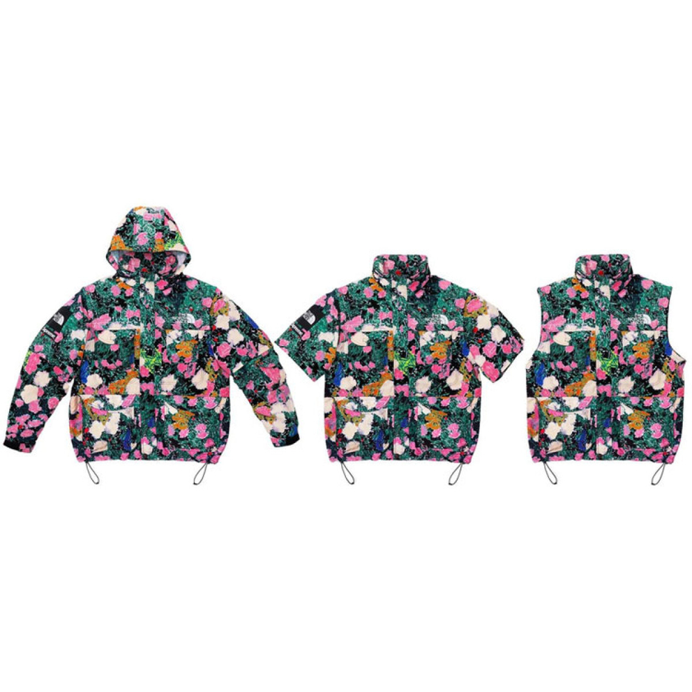 Supreme x x THE NORTH FACE Logo