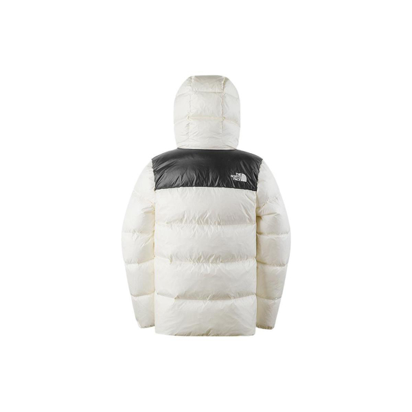 /THE NORTH FACE Logo 700