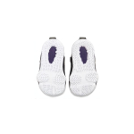 Nike Lebron 17