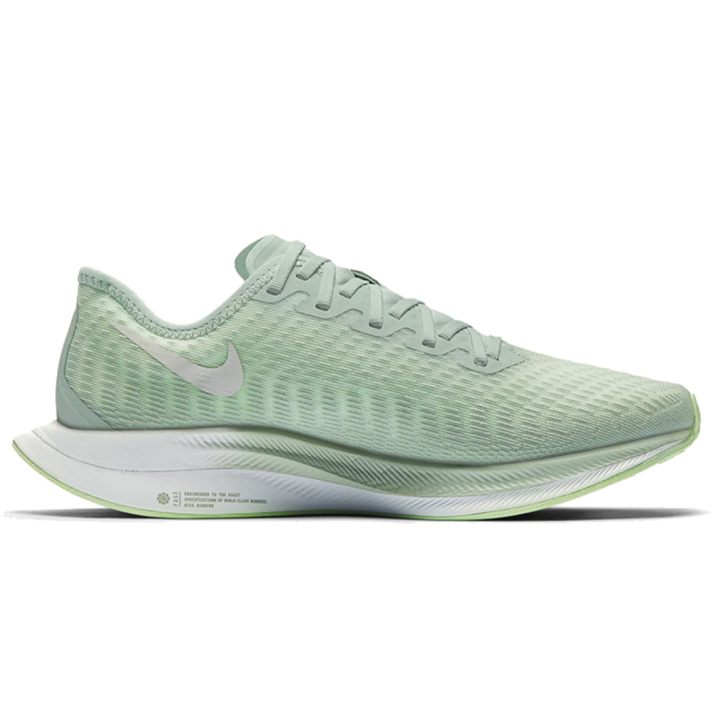 Nike Pegasus turbo 2 ZOOM X RISE