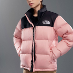 THE NORTH FACE 1996 Retro Nuptse 1996 700