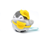 【 】 DAP