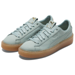 PUMA Platform