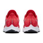 Nike Pegasus 35