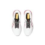 Asics GEL-Nimbus 25