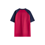 LEMANISM T