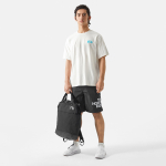 THE NORTH FACE Logo