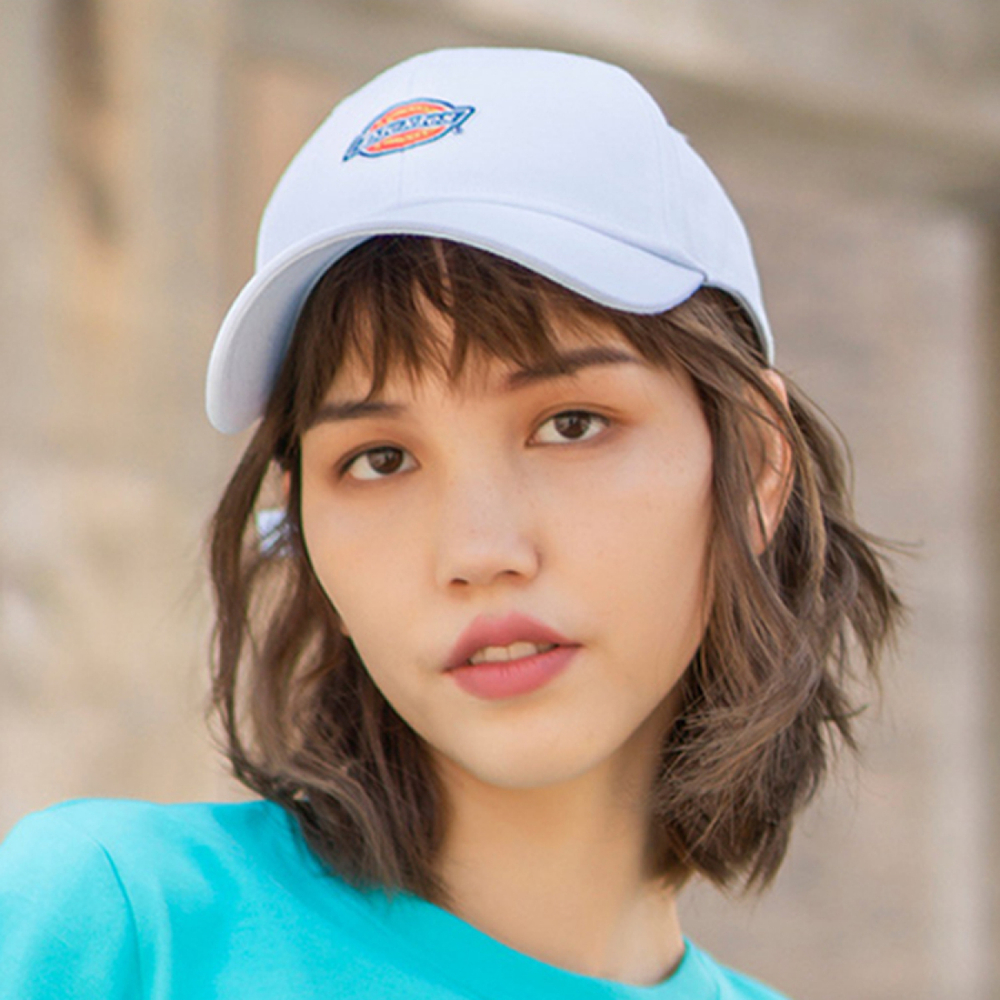 Dickies Logo