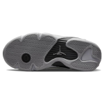 Jordan Air Jordan 14 Low "Metallic Silver"