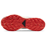 Nike Pegasus Trail 2 GORE-TEX