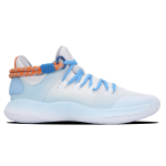 【 】 Nike Hyperdunk X Low 10