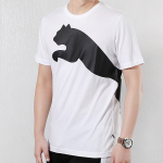 PUMA T