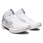 Asics Gel-Hoop V15