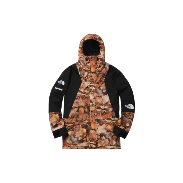 Supreme x /THE NORTH FACE FW16