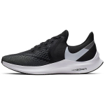 Nike Zoom Winflo 6