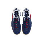 Nike Foamposite Pro
