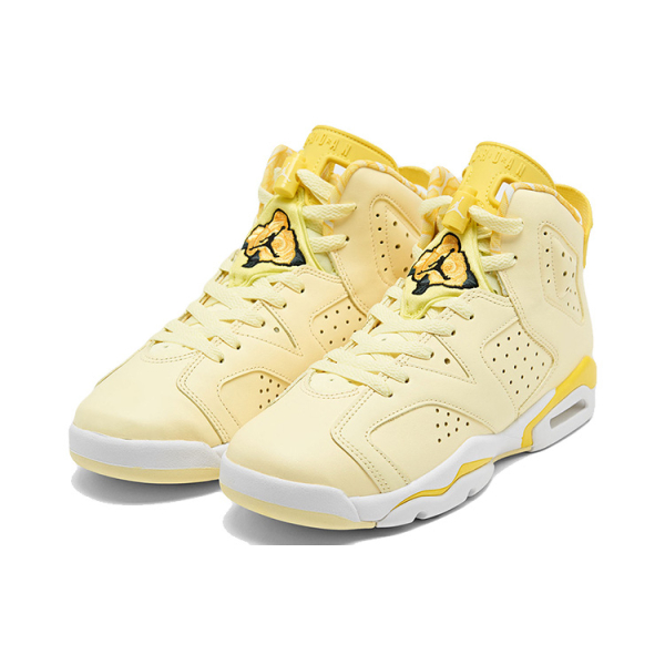 Jordan Air Jordan 6 "Floral"