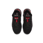Nike Lebron 17