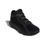 Adidas D lillard 6