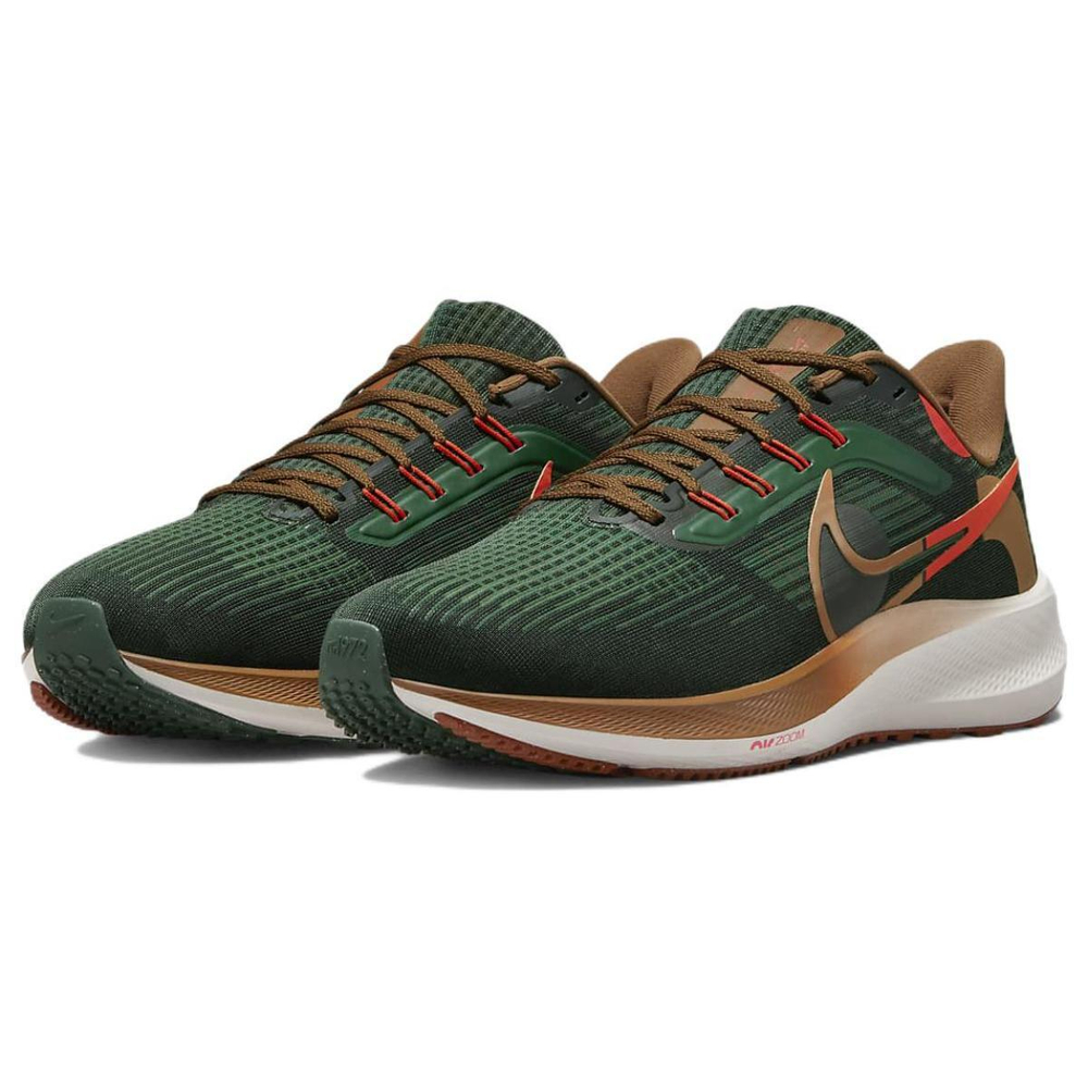 Nike Air Zoom Pegasus 39 "a.i.r. hola lou"