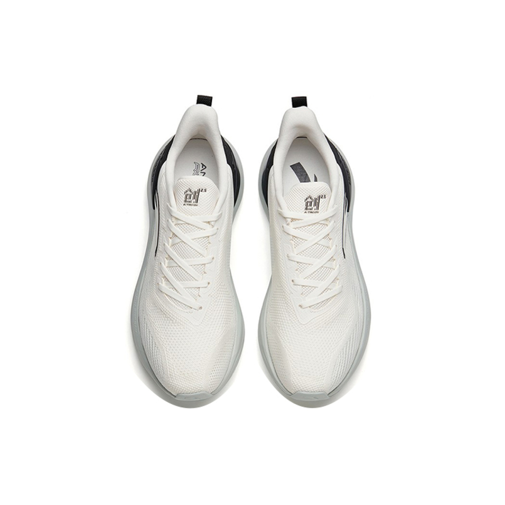 Anta 2.5
