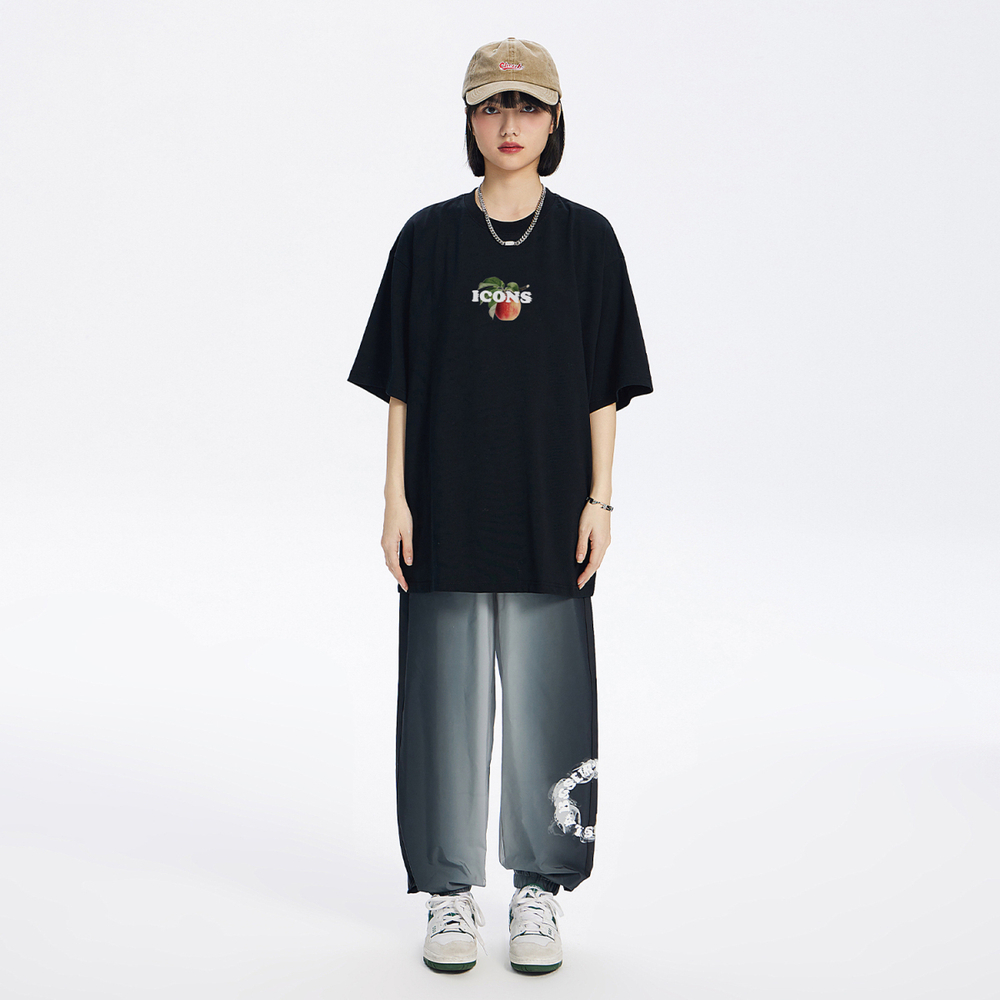 ICONS Lab T