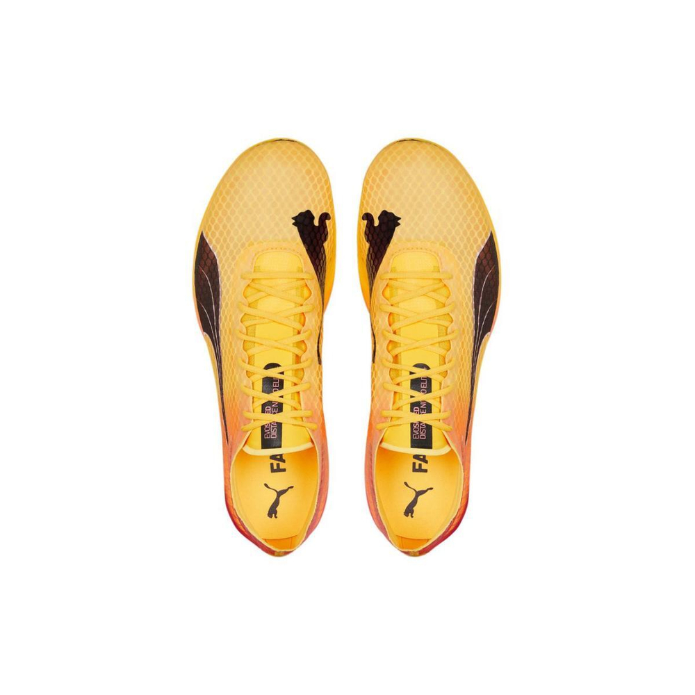 PUMA evoSPEED Distance Ni tro Elite