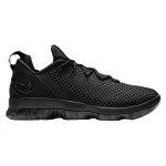 Nike Lebron 14 Low EP 14